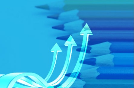 如何建設一個網站才能符合排名規(guī)則